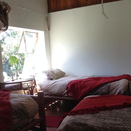 Dijembe Backpackers Lodge Stormsrivier Eksteriør bilde