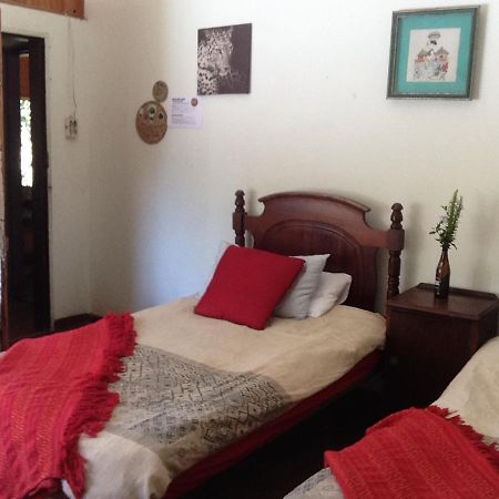 Dijembe Backpackers Lodge Stormsrivier Eksteriør bilde