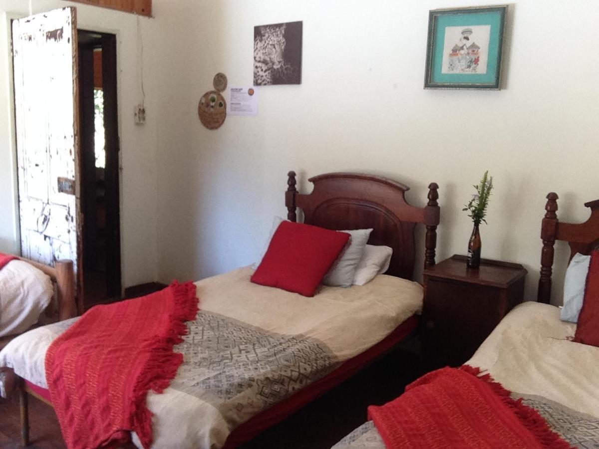 Dijembe Backpackers Lodge Stormsrivier Eksteriør bilde