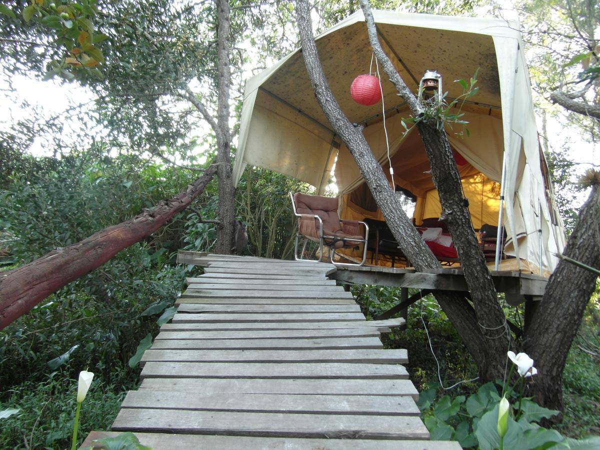 Dijembe Backpackers Lodge Stormsrivier Eksteriør bilde