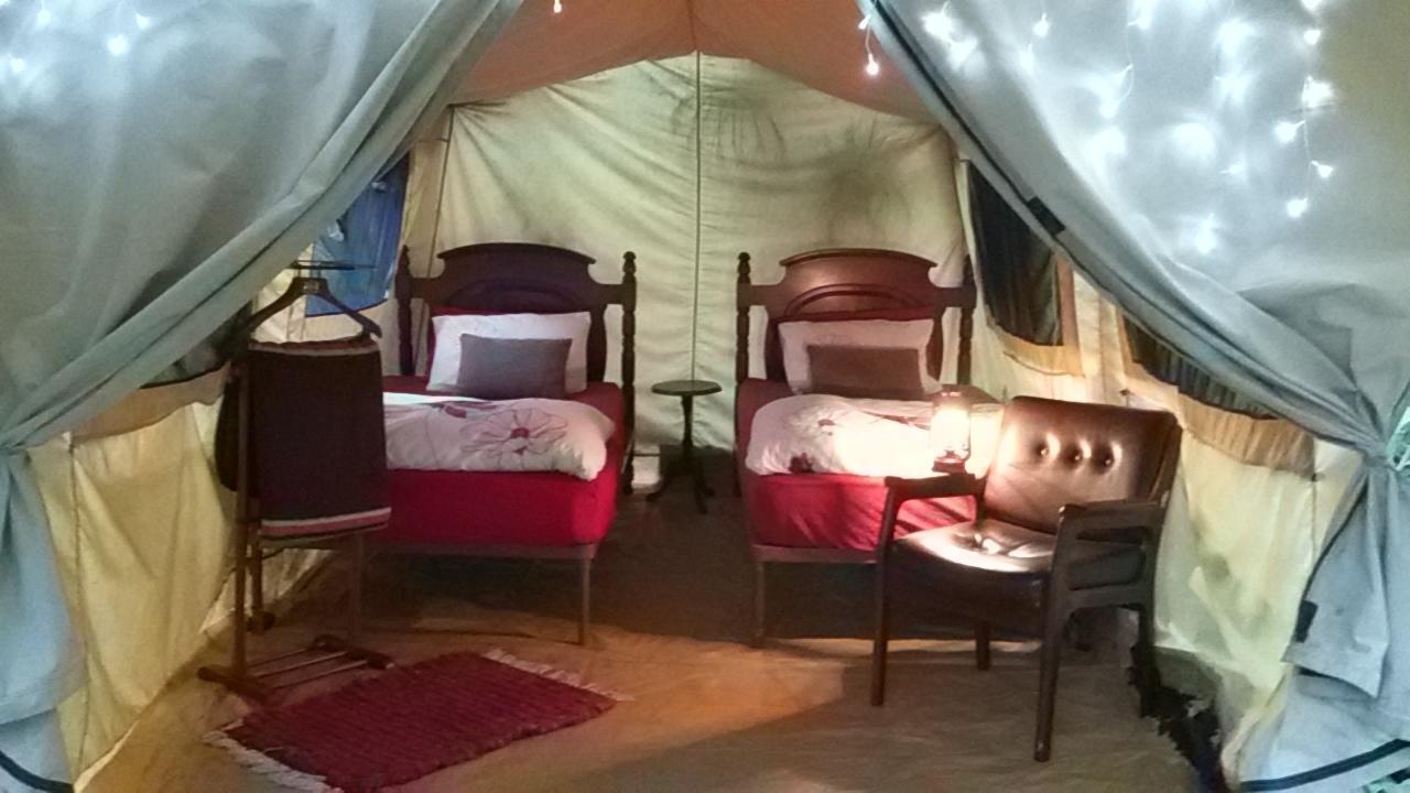 Dijembe Backpackers Lodge Stormsrivier Eksteriør bilde