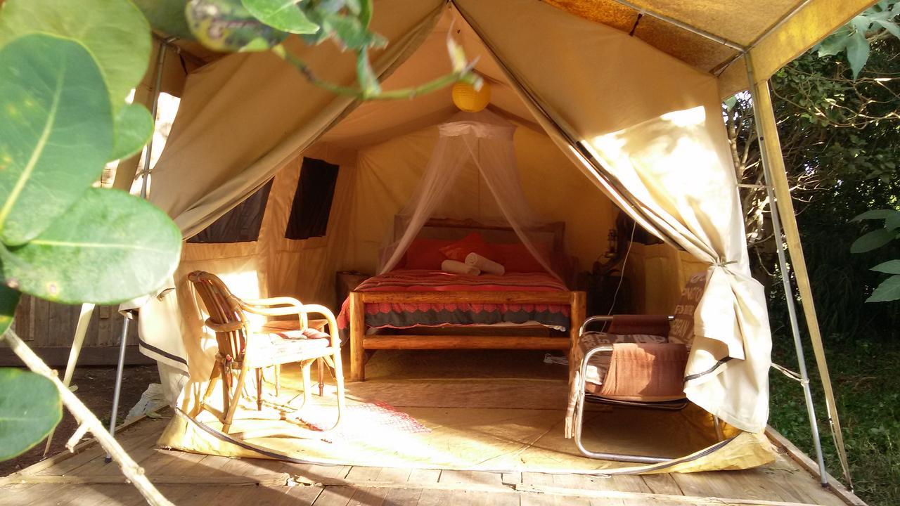 Dijembe Backpackers Lodge Stormsrivier Eksteriør bilde