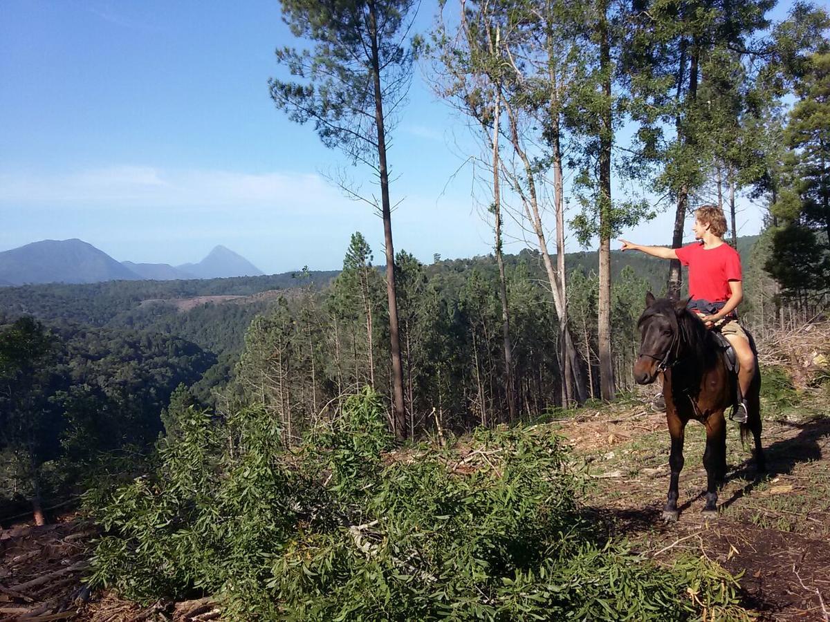 Dijembe Backpackers Lodge Stormsrivier Eksteriør bilde