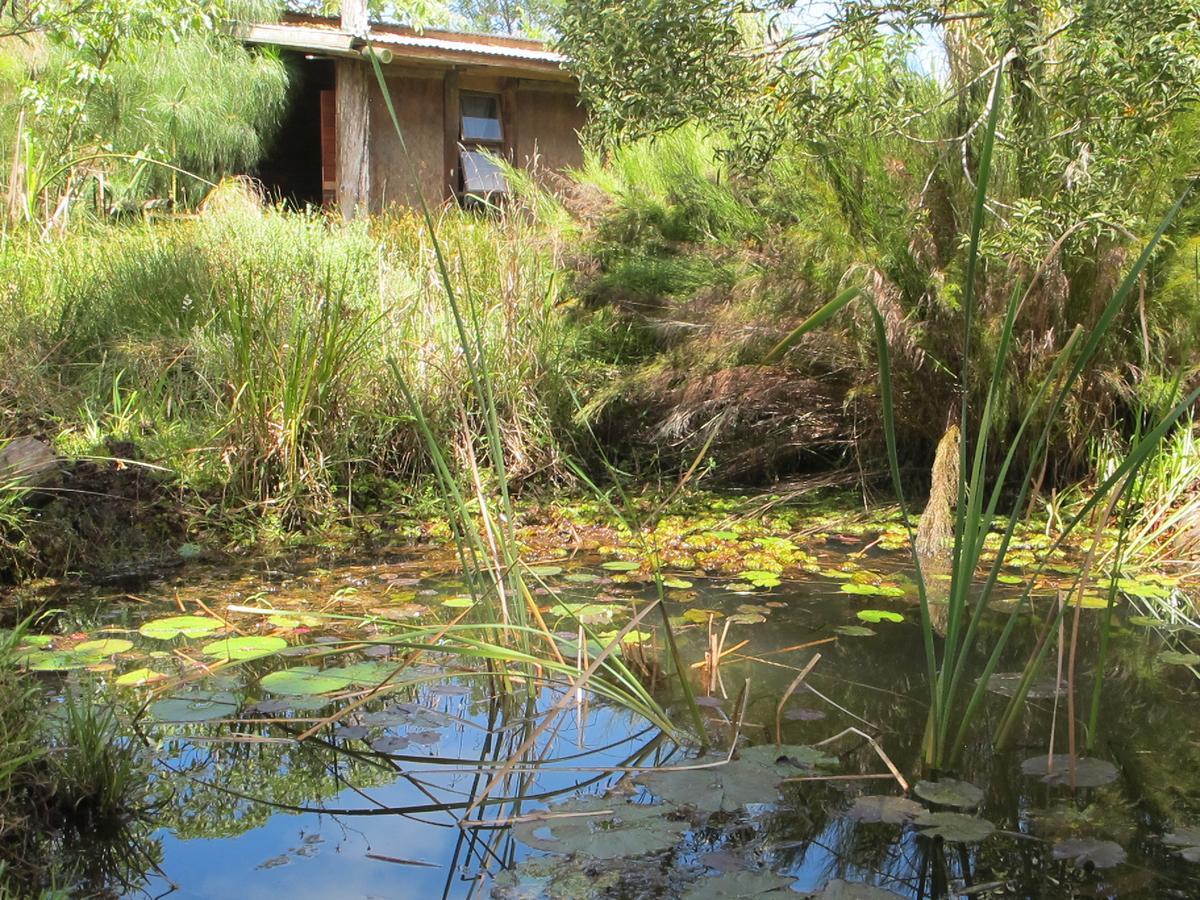 Dijembe Backpackers Lodge Stormsrivier Eksteriør bilde