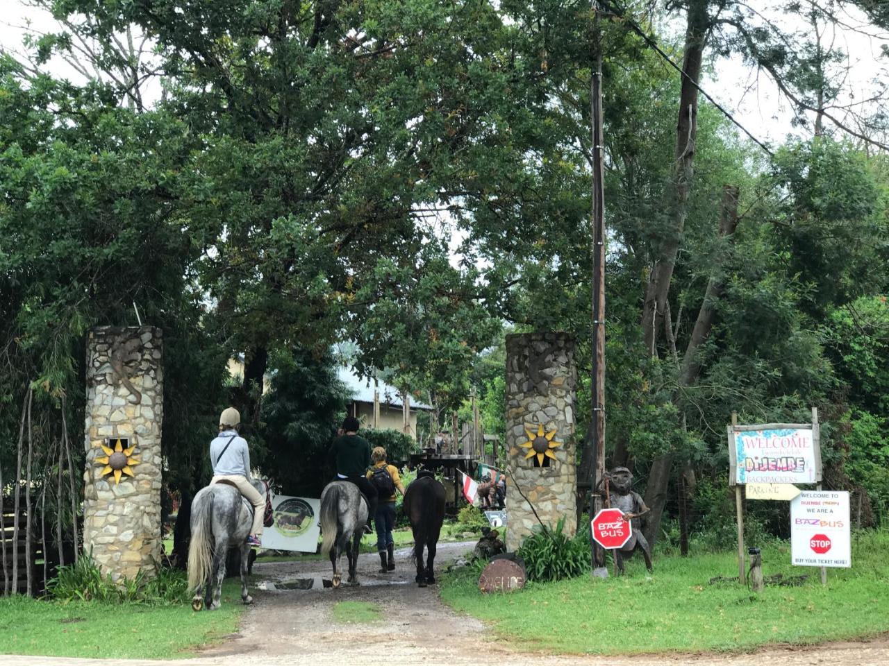 Dijembe Backpackers Lodge Stormsrivier Eksteriør bilde