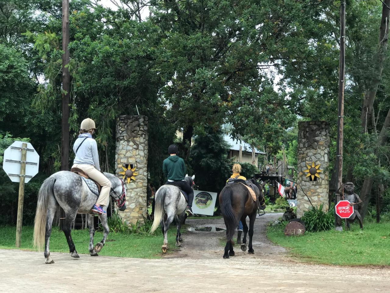 Dijembe Backpackers Lodge Stormsrivier Eksteriør bilde
