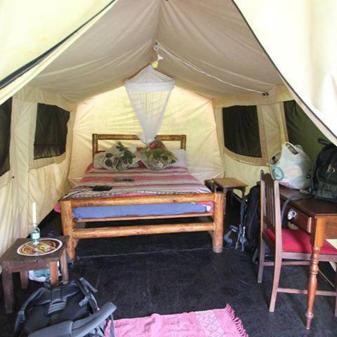 Dijembe Backpackers Lodge Stormsrivier Eksteriør bilde