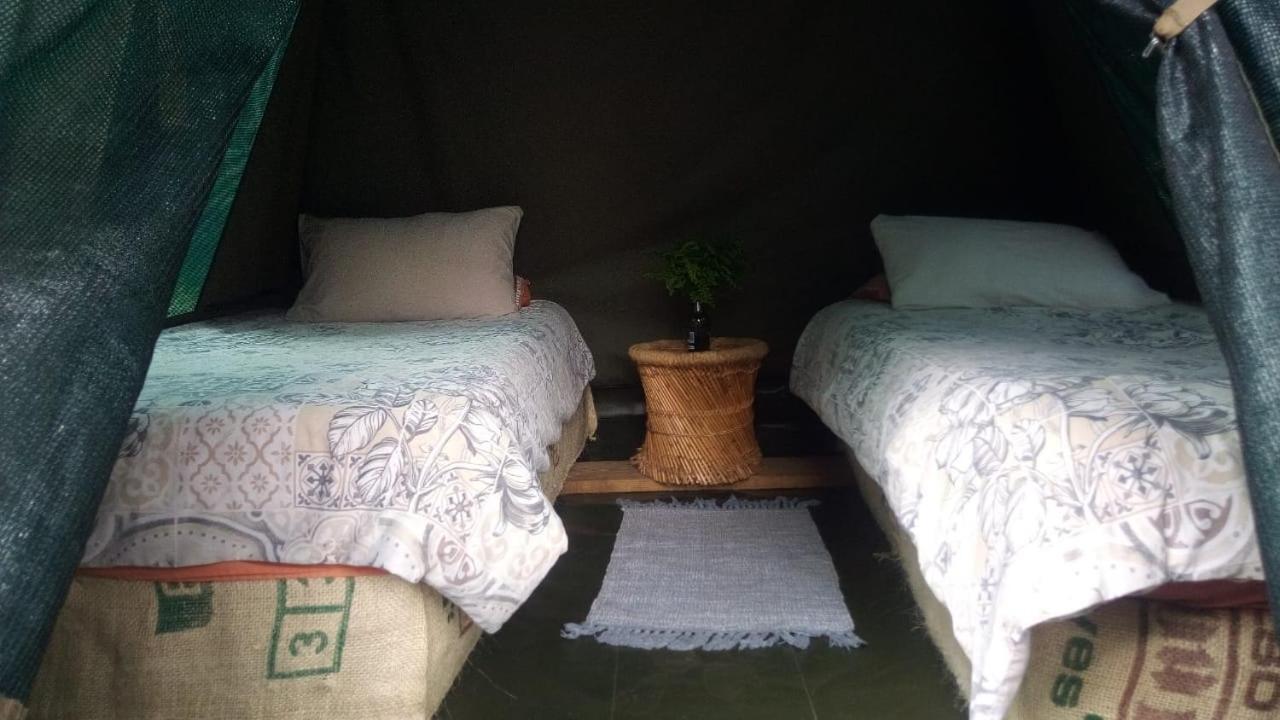 Dijembe Backpackers Lodge Stormsrivier Eksteriør bilde