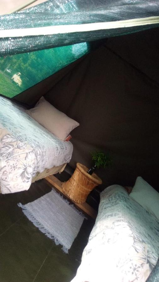 Dijembe Backpackers Lodge Stormsrivier Eksteriør bilde