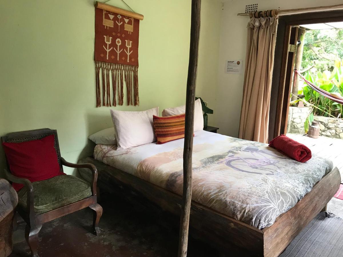 Dijembe Backpackers Lodge Stormsrivier Eksteriør bilde